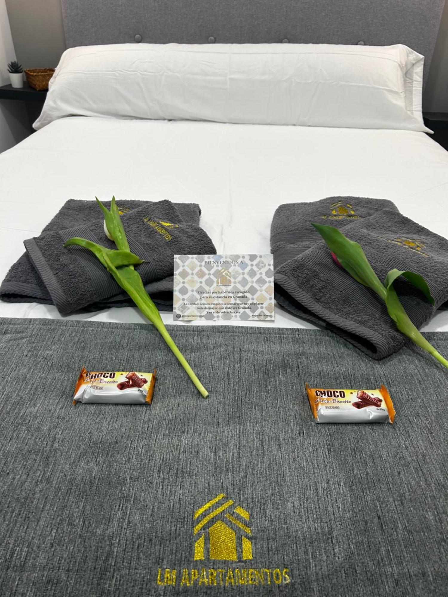 Lm Apartamentos Puentezuelas Granada Ngoại thất bức ảnh